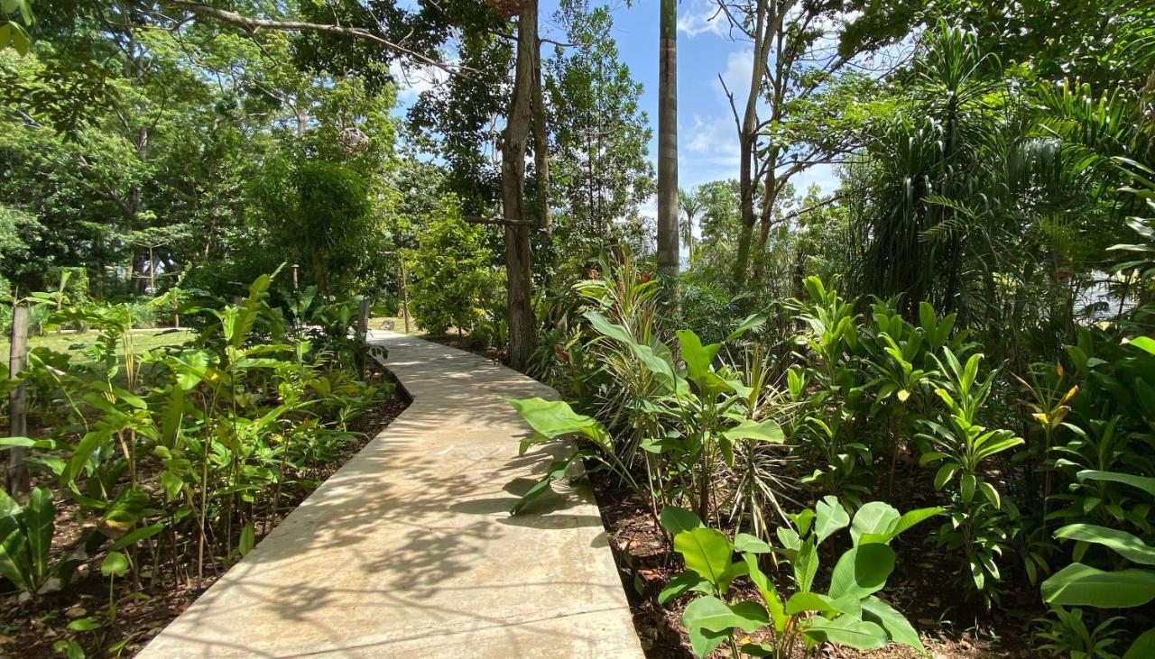 Hotel Maya Internacional ฟลอเรส ภายนอก รูปภาพ